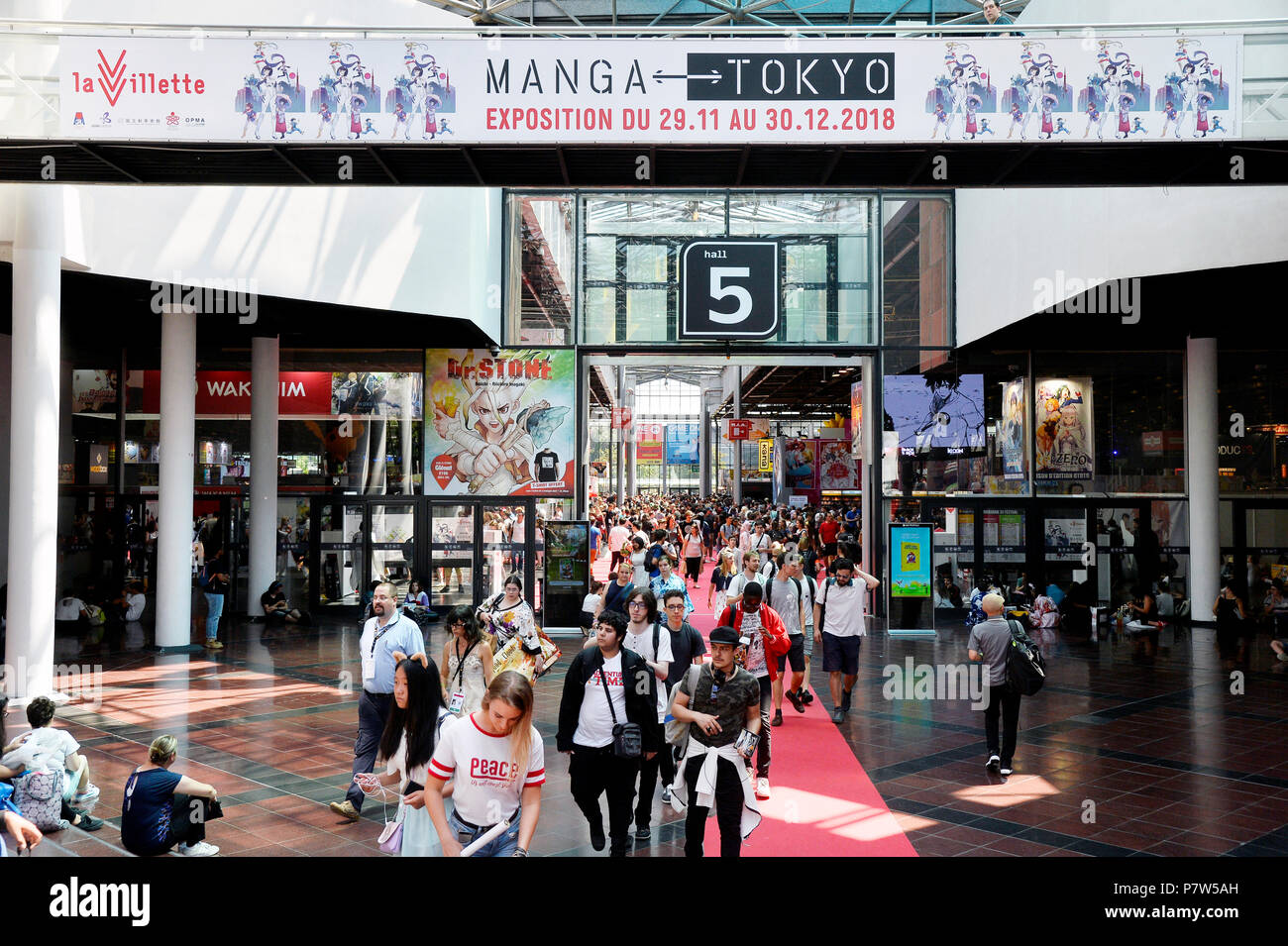 Paris, France. 6 juillet 2018. La Japan Expo Paris est le plus grand festival de la culture japonaise et passe-temps. Les amateurs de manga, les amateurs des arts martiaux, les joueurs ou les amateurs d'animes japonais. Crédit : Frédéric VIELCANET/Alamy Live News Banque D'Images