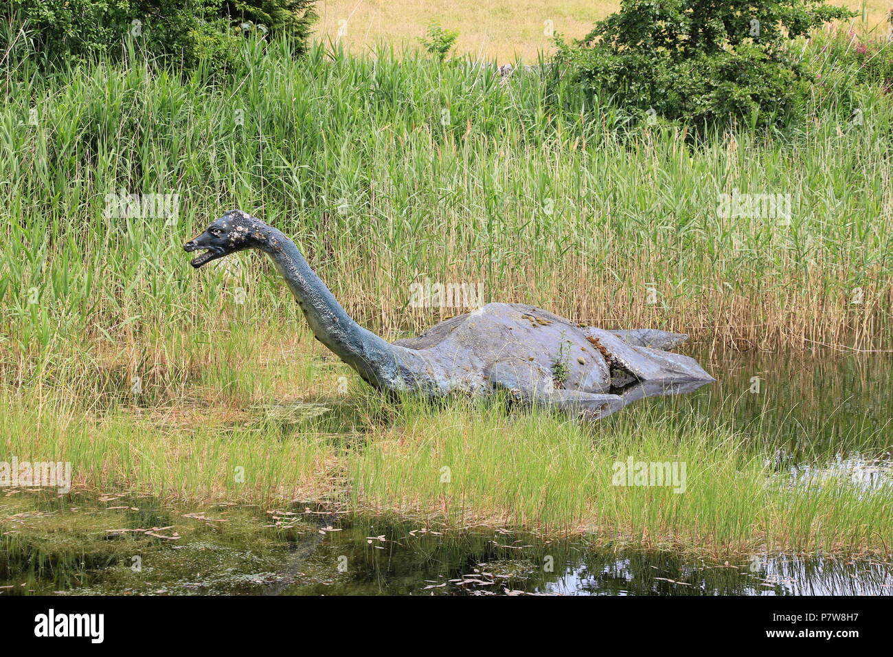 Inverness, Royaume-Uni. 26 Juin, 2018. Une sculpture du Loch Ness au Loch Ness Centre à Drumnadrochit. Credit : Silvia Kusidlo/dpa/Alamy Live News Banque D'Images