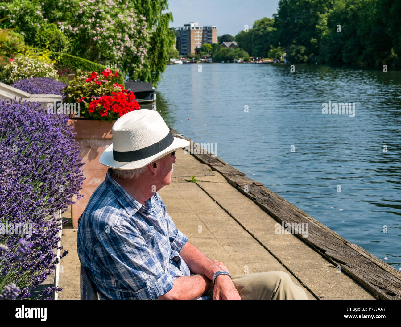 Tamise, Hampton Wick, Londres, Angleterre, Royaume-Uni, 8 juillet 2018. Météo France : les gens s'amuser sur la Tamise, un dimanche matin dans la lumière du soleil chaude heatwave. Un homme âgé portant un chapeau Panama est assis dans un banc près du fleuve au soleil Banque D'Images