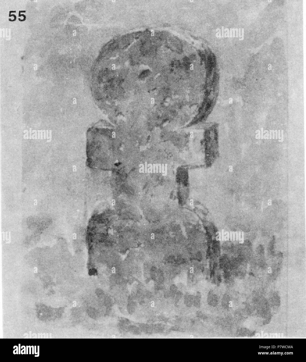 : 55. - , . , . 30-40 , ; - ; , .  : 70x30x10 . 1916 . (. 2, . 13.) . Juin 1916 208 Ivan Enchev-Vidyu Bulgarian Folk traverse 55 Banque D'Images