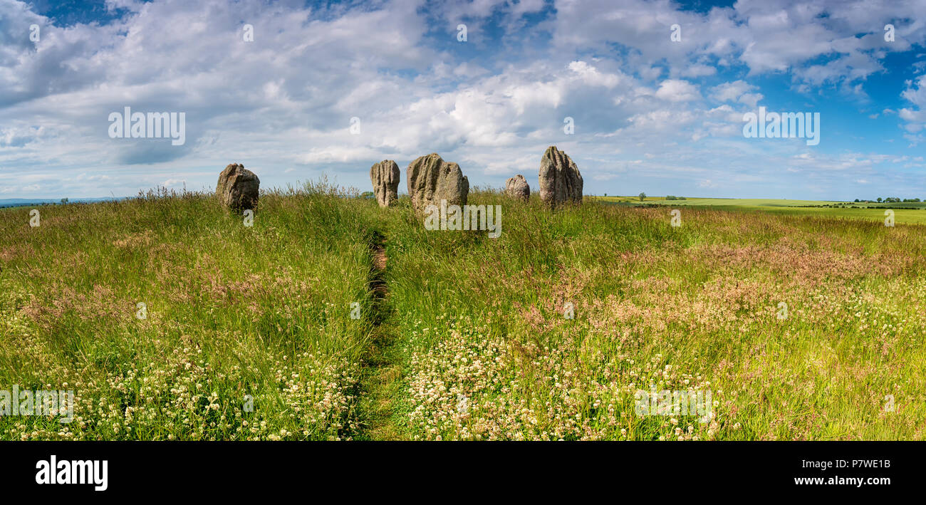L'été au Duddo pierres, un petit cercle de pierres près de la frontière écossaise dans le Northumberland Banque D'Images