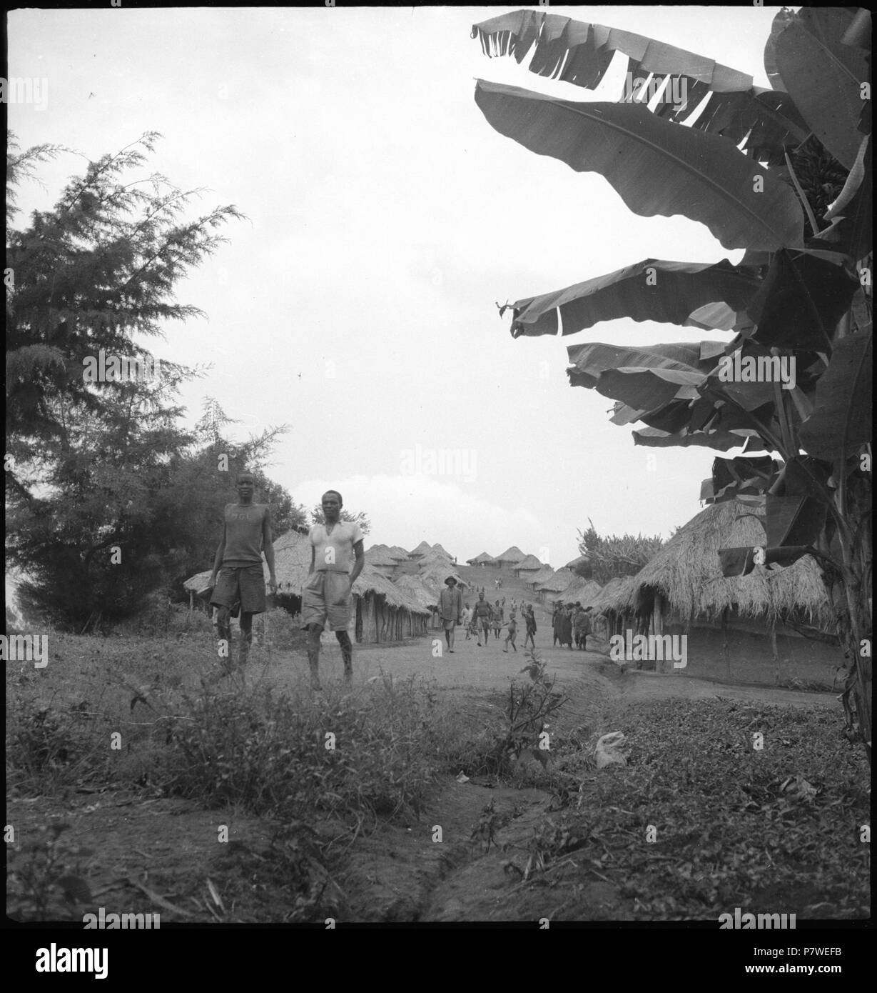 Belgisch-Kongo, Beni : Siedlung ; Zwei Reihen von Strohhütten Strasse und Menschen. de mai 1941 à mars 1942 66 CH-NB - Belgisch-Kongo, Beni- Siedlung - Annemarie Schwarzenbach - SLA-Schwarzenbach-A-5-25-259 Banque D'Images