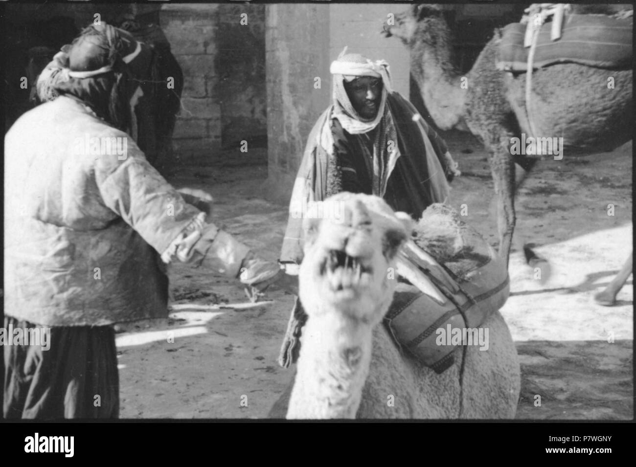 Syrie, Alep : Strassenszene ; Kameltreiber mit Kamel. à partir de 1933 jusqu'à 1934 83 CH-NB - Syrie, Alep- Strassenszene - Annemarie Schwarzenbach - SLA-Schwarzenbach-A-5-03-031 Banque D'Images