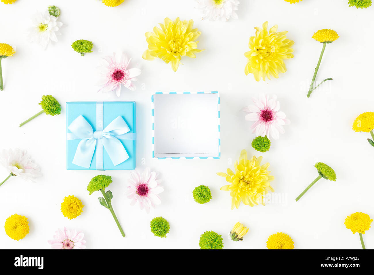 Ouvrir une boîte cadeau bleu avec différents chrysanthèmes sur un fond blanc dans télévision jeter style. Vue d'en haut Banque D'Images