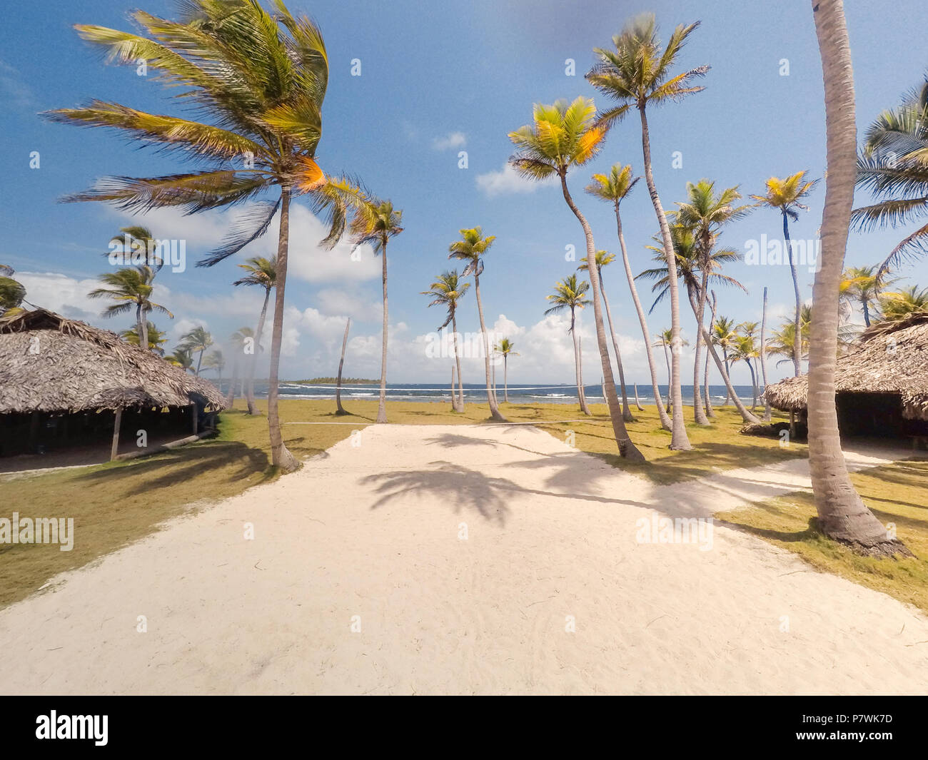 Huttes de chaume / bungalows sur la petite île tropicale avec palmiers Banque D'Images