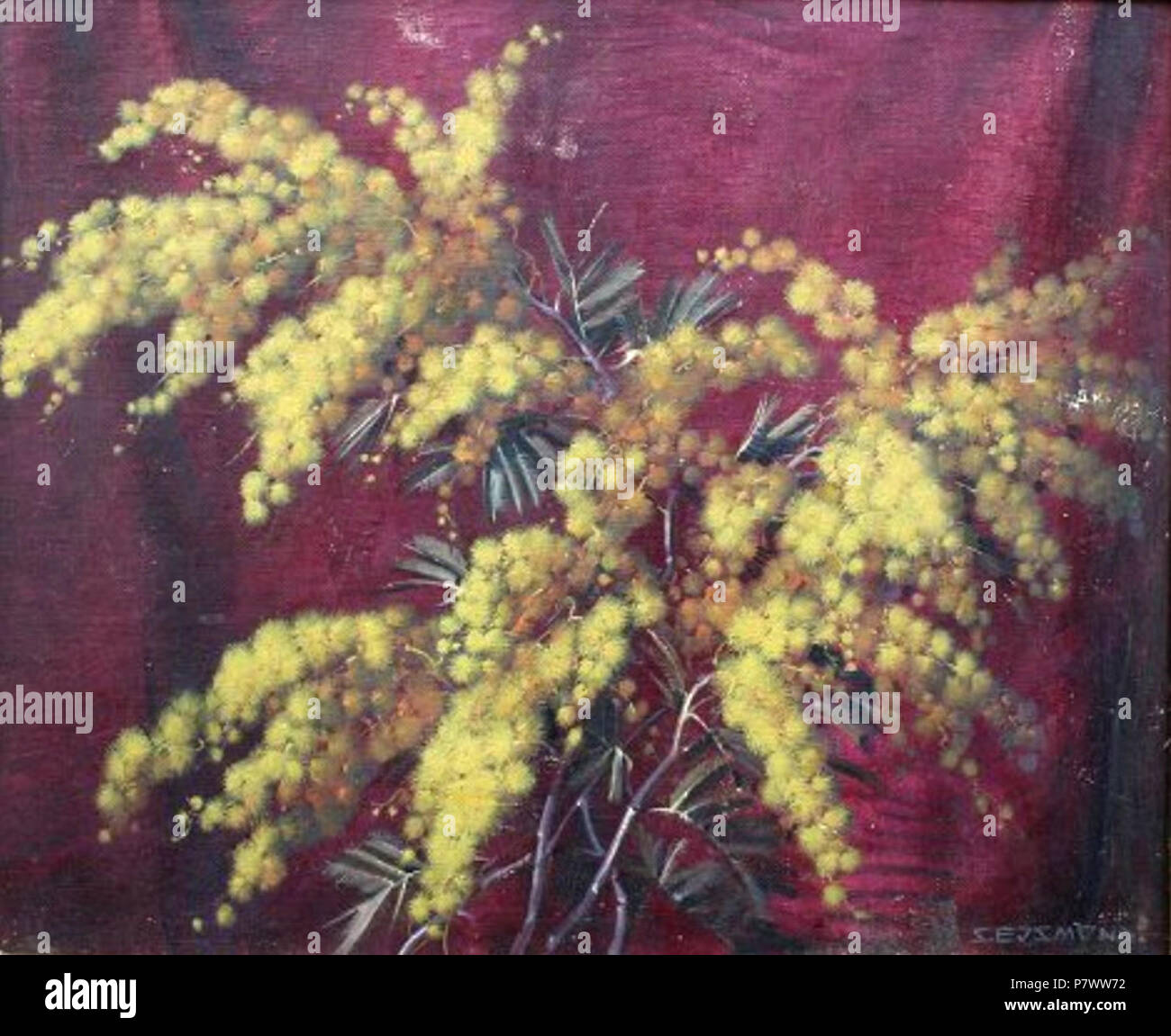 Stanisław 354 Ejsmond - Kwiaty Banque D'Images