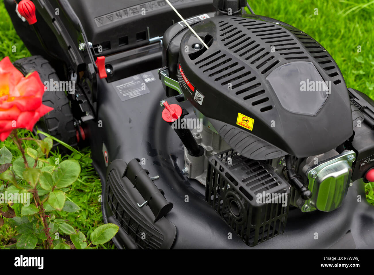 Une tondeuse à essence à quatre temps sur le dessus de l'herbe dans le  jardin que vous tondez Photo Stock - Alamy