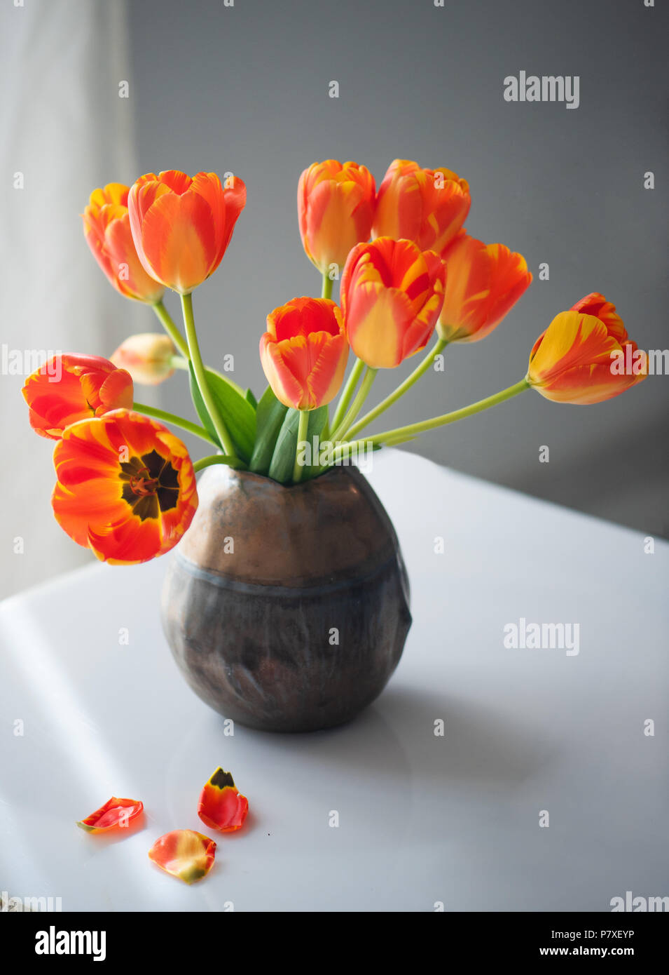 Belle Nature morte avec des tulipes Banque D'Images