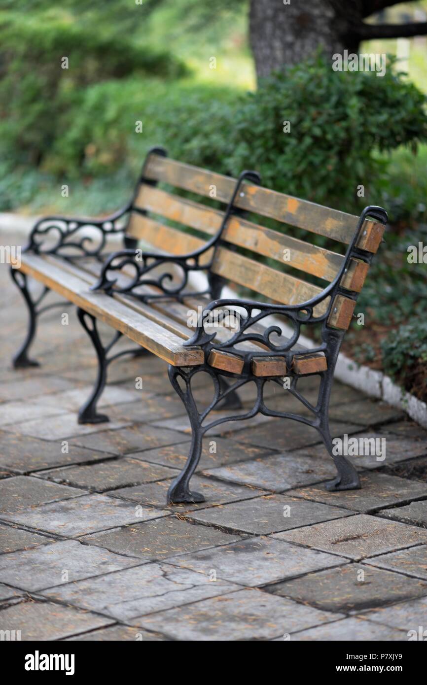 Banc dans le parc en automne Banque D'Images