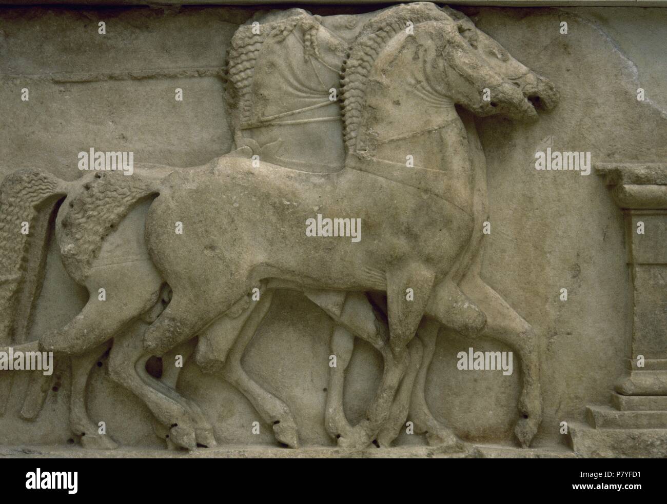 La Grèce. Delphi. Sanctuaire d'Apollon. L'Athénien, construit par le Conseil du Trésor avec Athenias butin de bataille de TBS Studio. Détail metope. Les chevaux. 510-480 BCE. Musée archéologique de Delphes. Banque D'Images