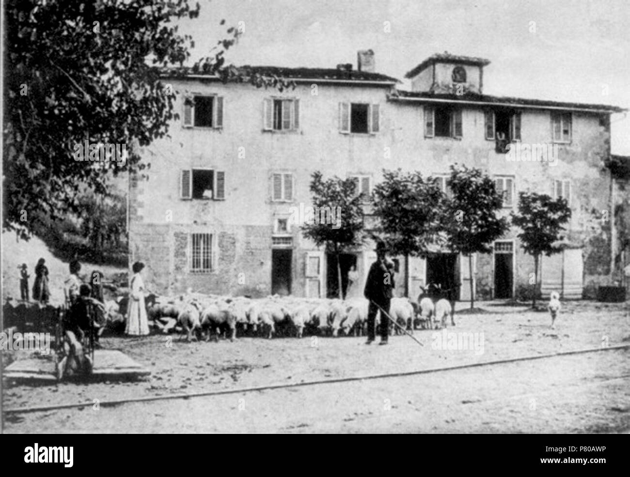 Italiano : passaggio delle greggi dal Passo dei Pecorai (greve), durante il periodo della transumanza . 302 Passo Banque D'Images