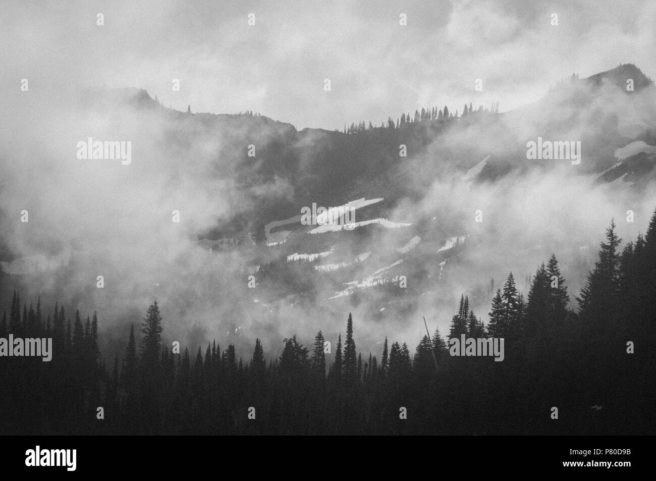 Le mont Rainier enveloppée de nuages Banque D'Images
