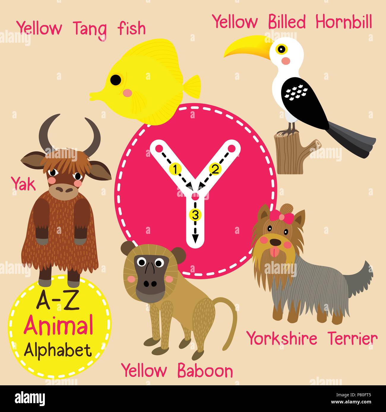 Enfants mignon alphabet zoo lettre Y le traçage des animaux funny cartoon pour les enfants l'apprentissage de l'anglais vocabulary Illustration de Vecteur