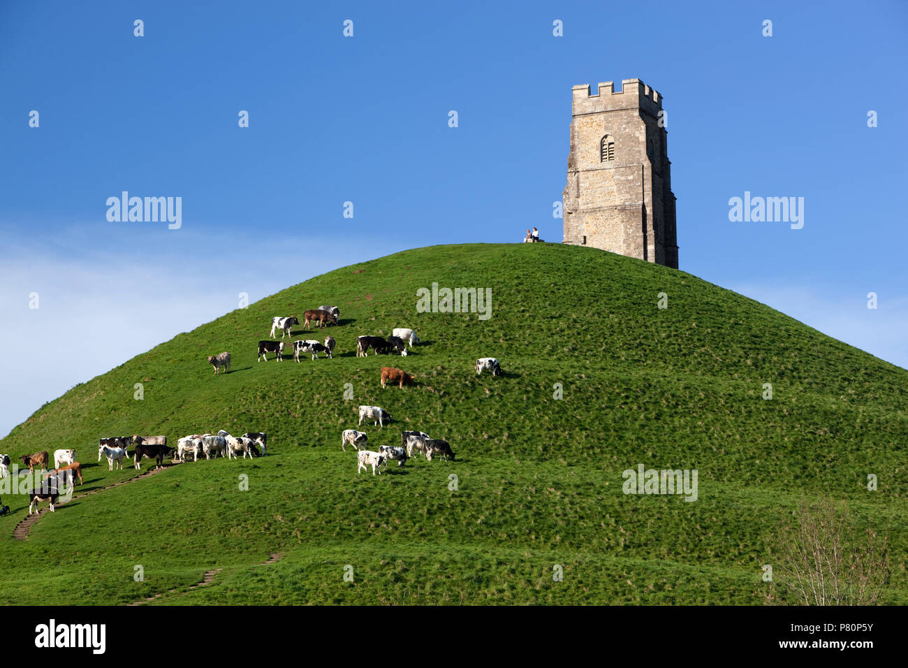 Tor de Glastonbury. Ruines de la tour de l'église médiévale de St Michel au sommet de la colline de 525 pieds de haut. Banque D'Images