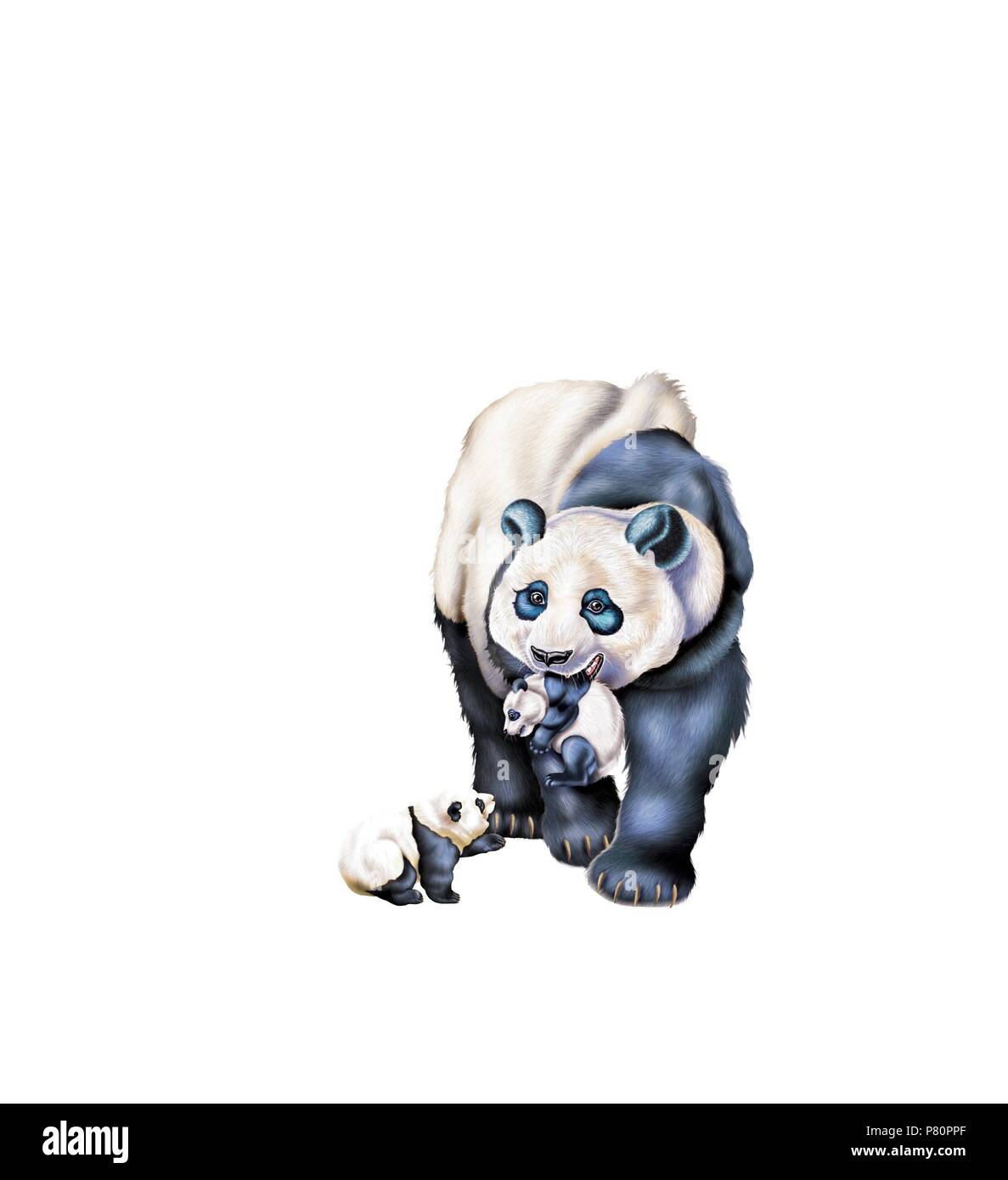 Avec Panda bear cubs. Banque D'Images