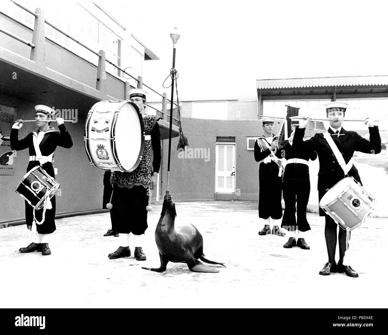 Groupe de musique avec lion de mer, l'Angleterre, Grande-Bretagne Banque D'Images