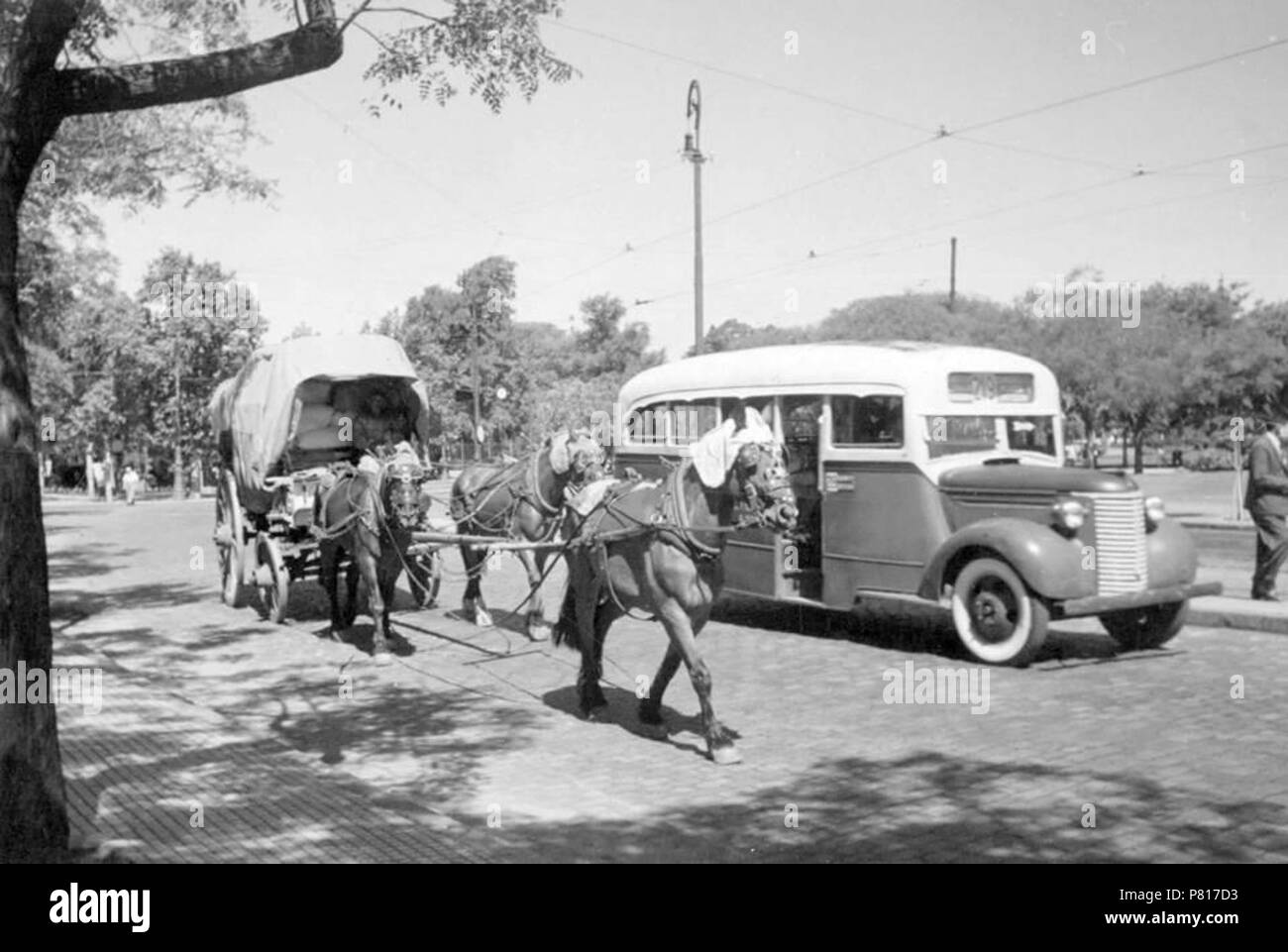 378 transporte público de pasajeros, línea 219. Buenos Aires 1938. Banque D'Images