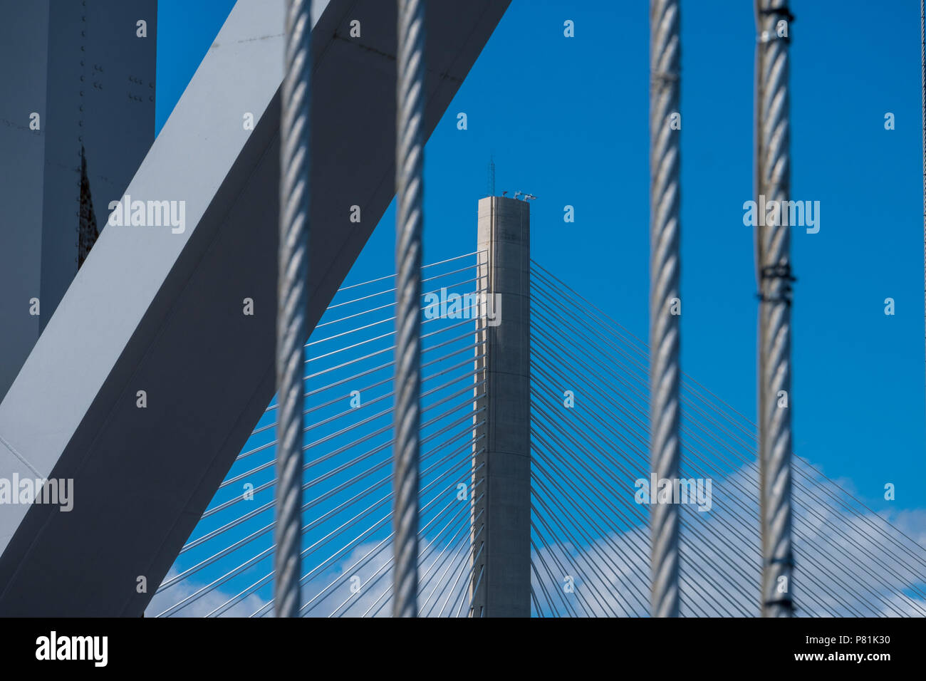 Les câbles sur le Forth Road Bridge avec de nouveaux Queensferry Crossing (pont) visible en arrière-plan, à l'été 2018. Banque D'Images