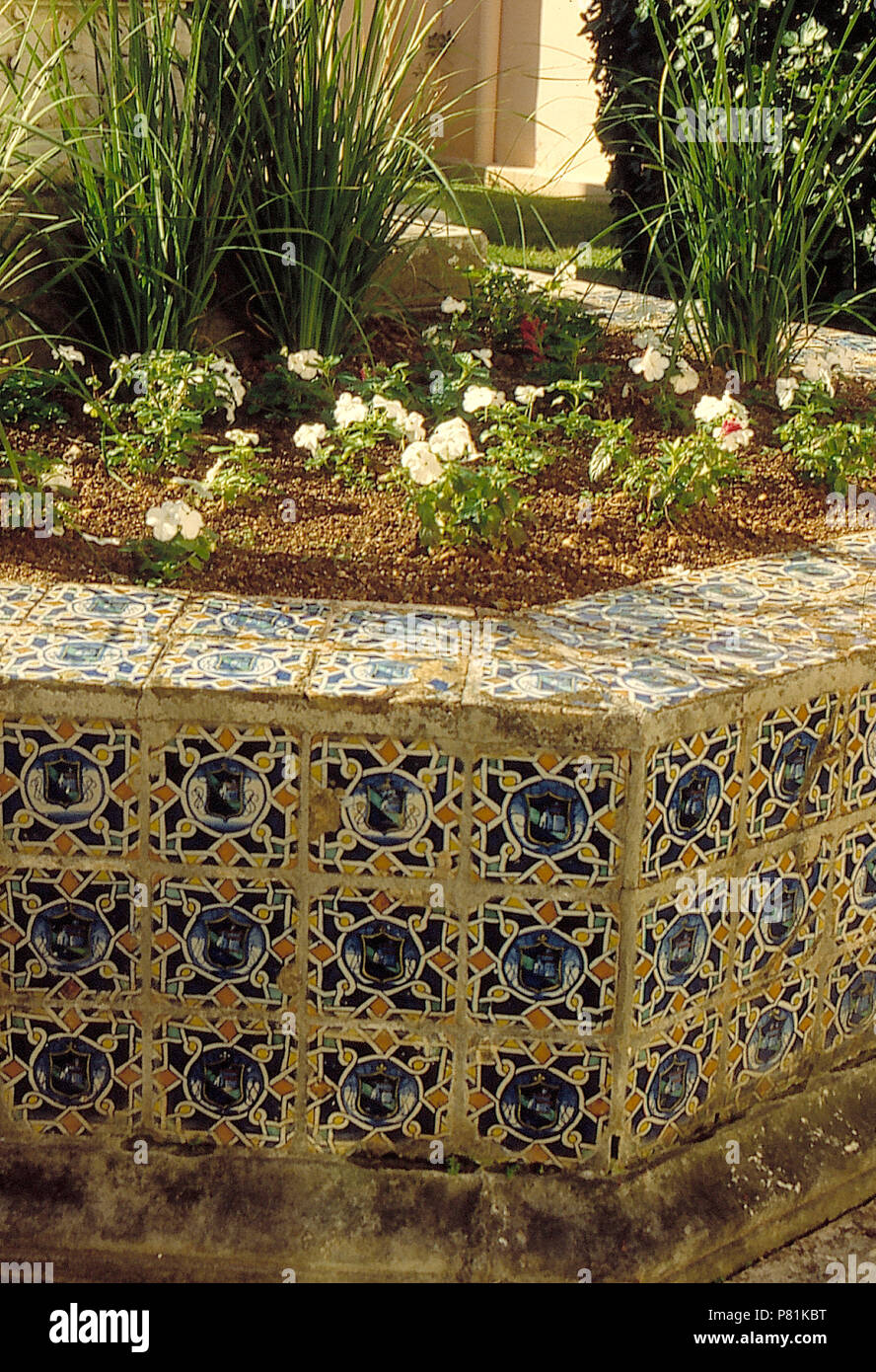 Sol carrelé de flower bed soulevées octogonale plantée d'altos blanc Banque D'Images