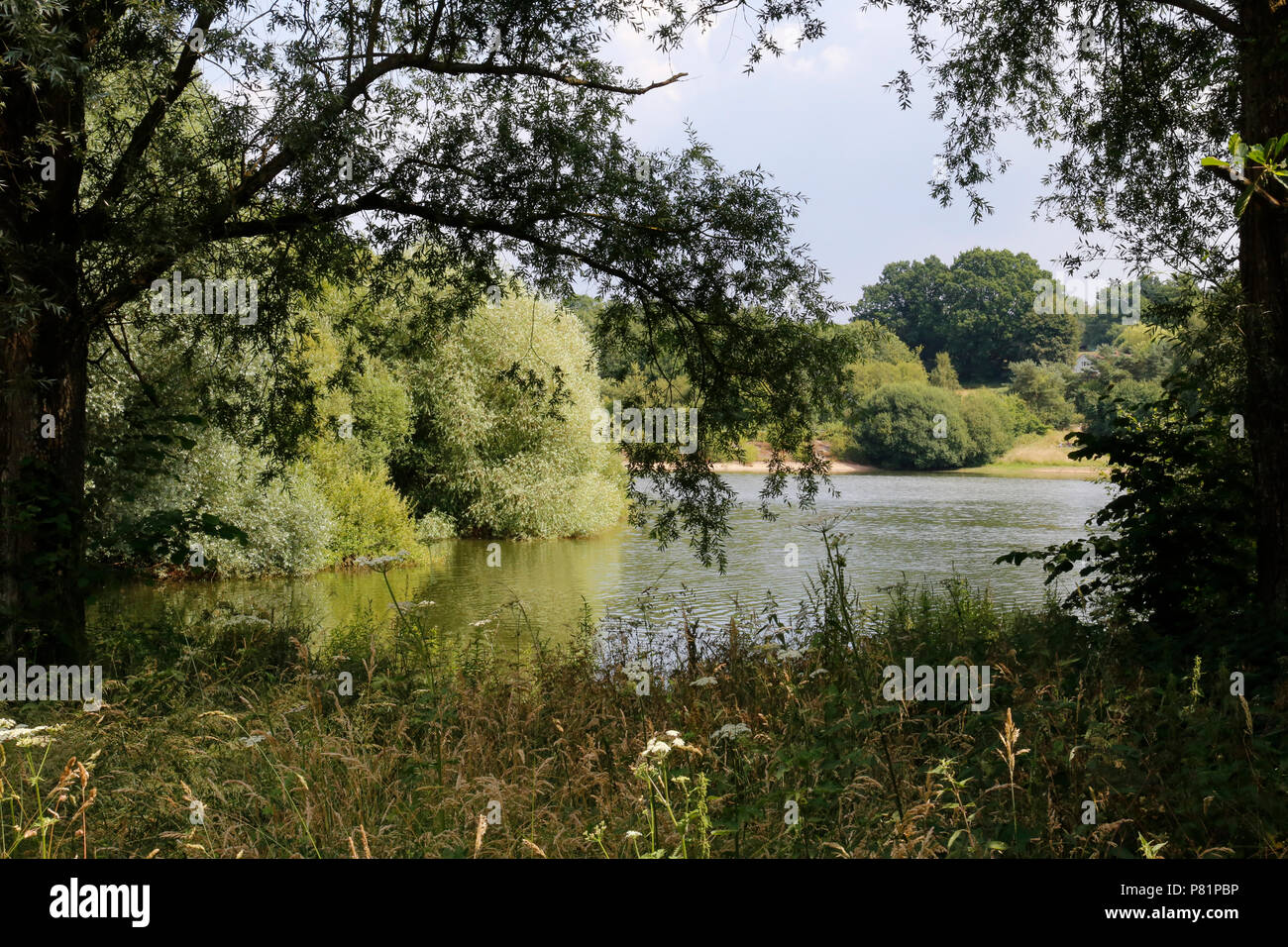 Vue sur le réservoir par l'intermédiaire d'arbres Banque D'Images