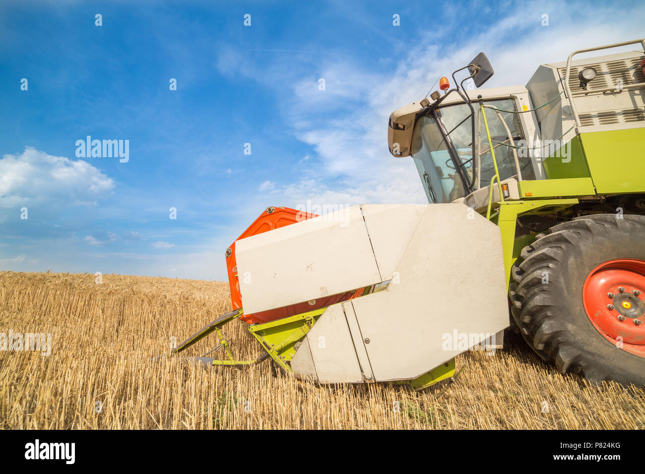 Moissonneuse batteuse en action sur le champ de blé Banque D'Images