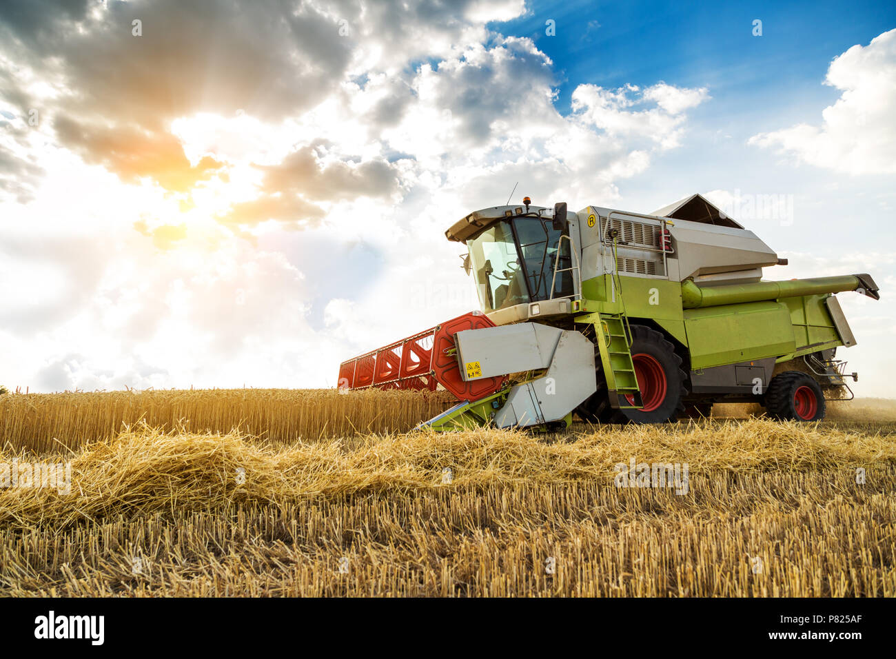 Moissonneuse batteuse en action sur le champ de blé Banque D'Images