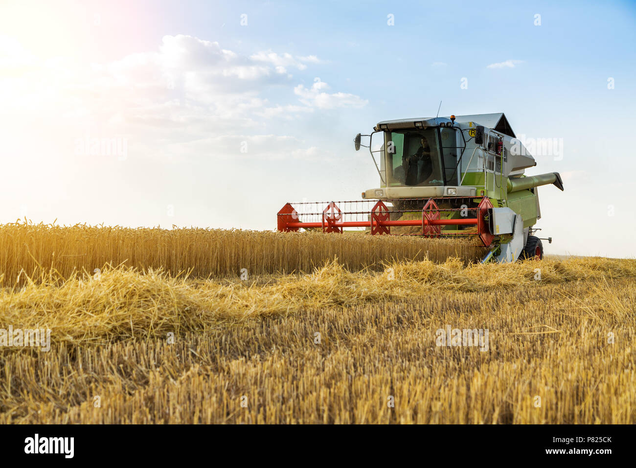 Moissonneuse batteuse en action sur le champ de blé Banque D'Images