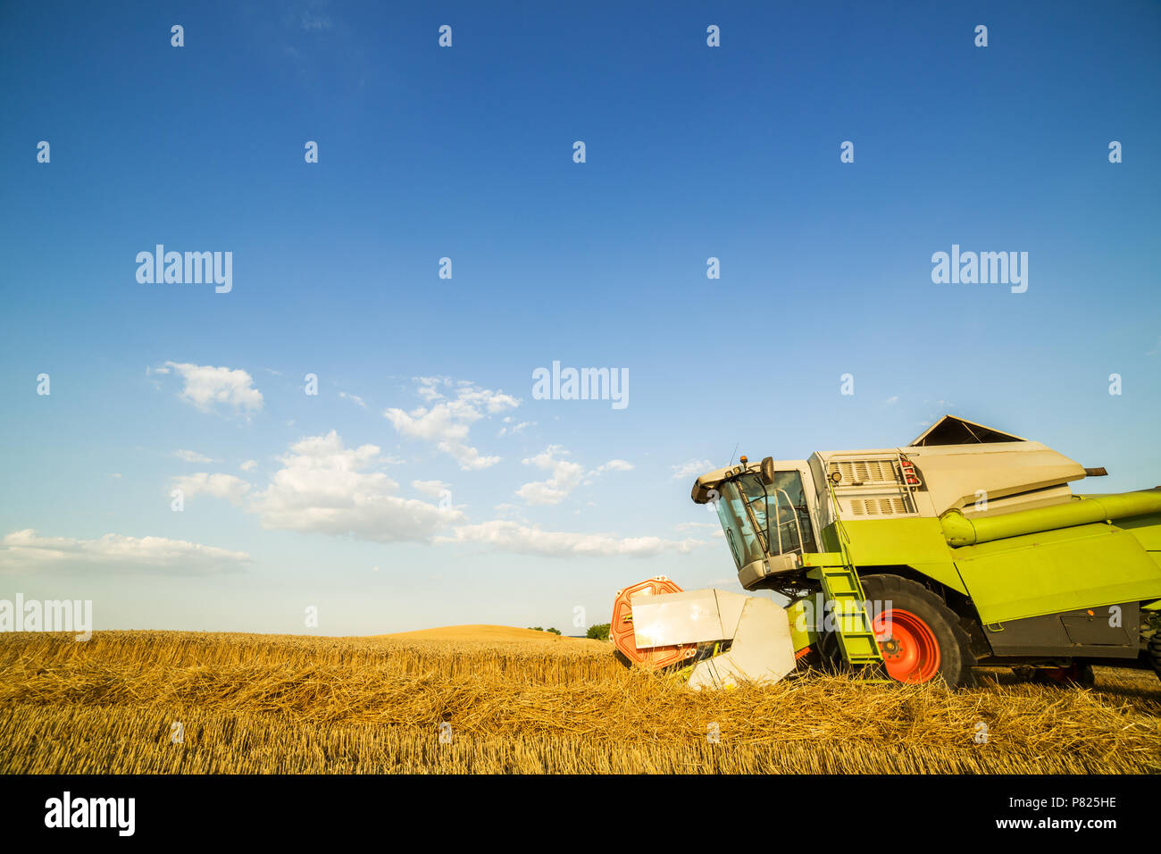 Moissonneuse batteuse en action sur le champ de blé Banque D'Images