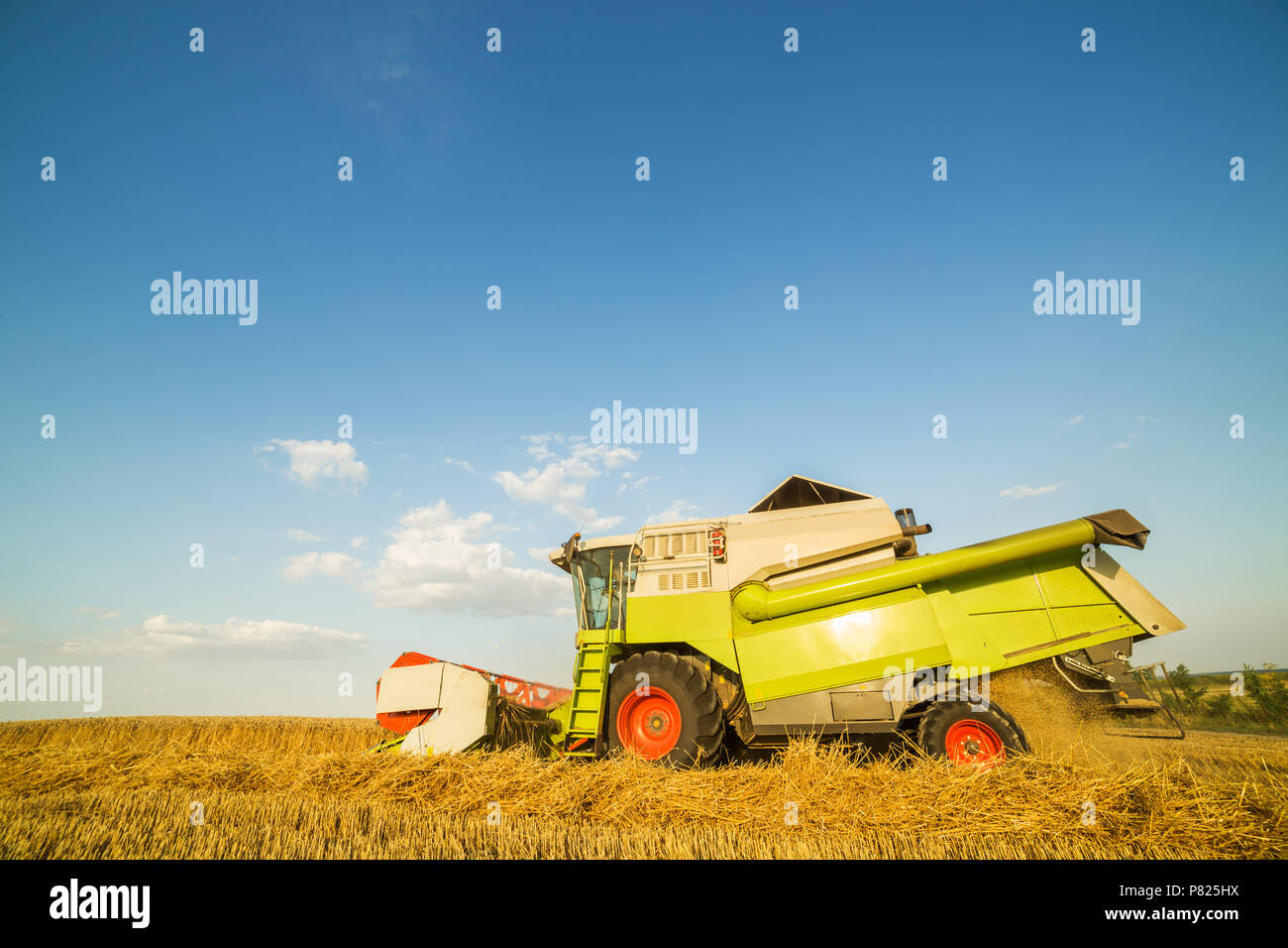 Moissonneuse batteuse en action sur le champ de blé Banque D'Images