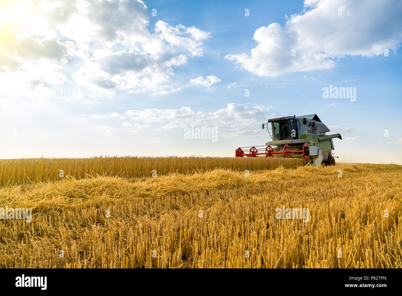 Moissonneuse batteuse en action sur le champ de blé Banque D'Images