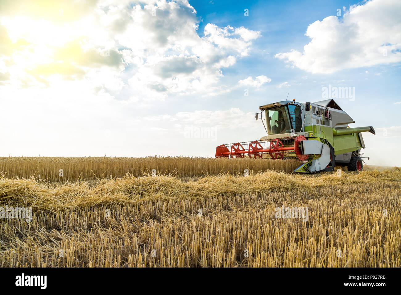 Moissonneuse batteuse en action sur le champ de blé Banque D'Images