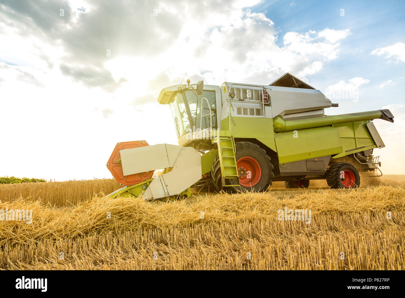 Moissonneuse batteuse en action sur le champ de blé Banque D'Images