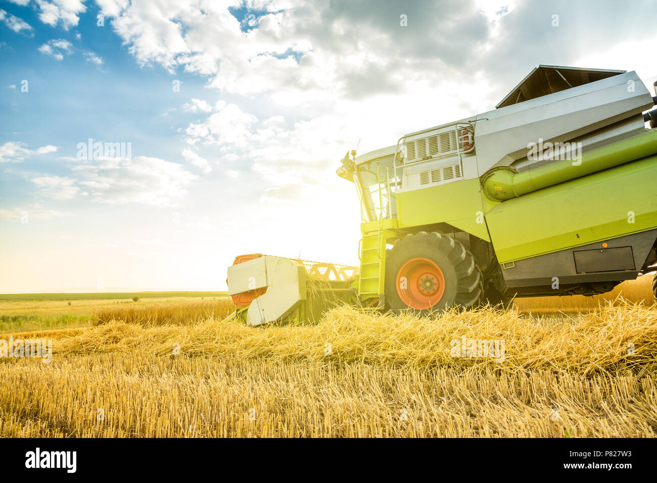 Moissonneuse batteuse en action sur le champ de blé Banque D'Images