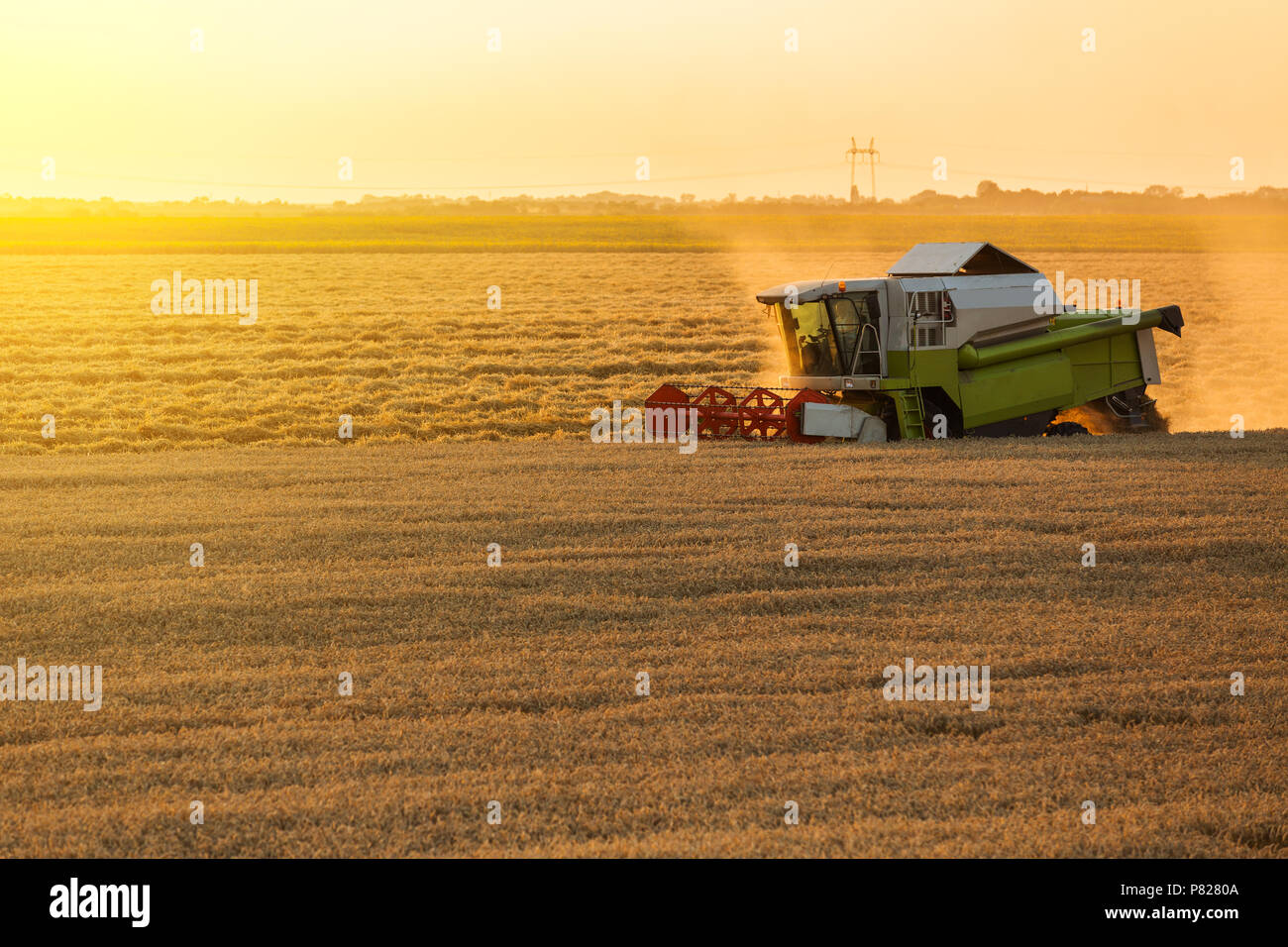 Moissonneuse batteuse en action sur le champ de blé Banque D'Images
