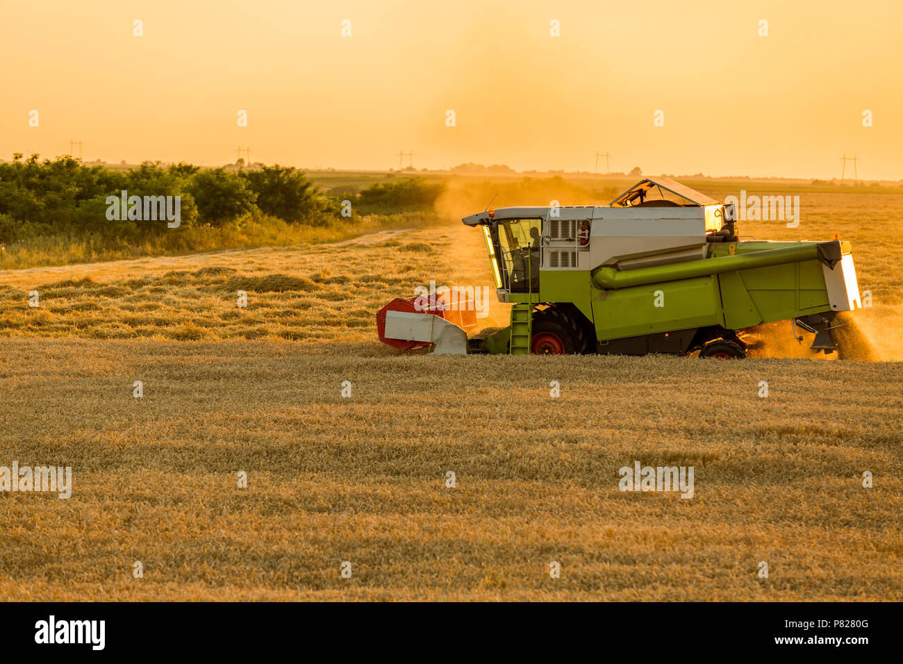 Moissonneuse batteuse en action sur le champ de blé Banque D'Images