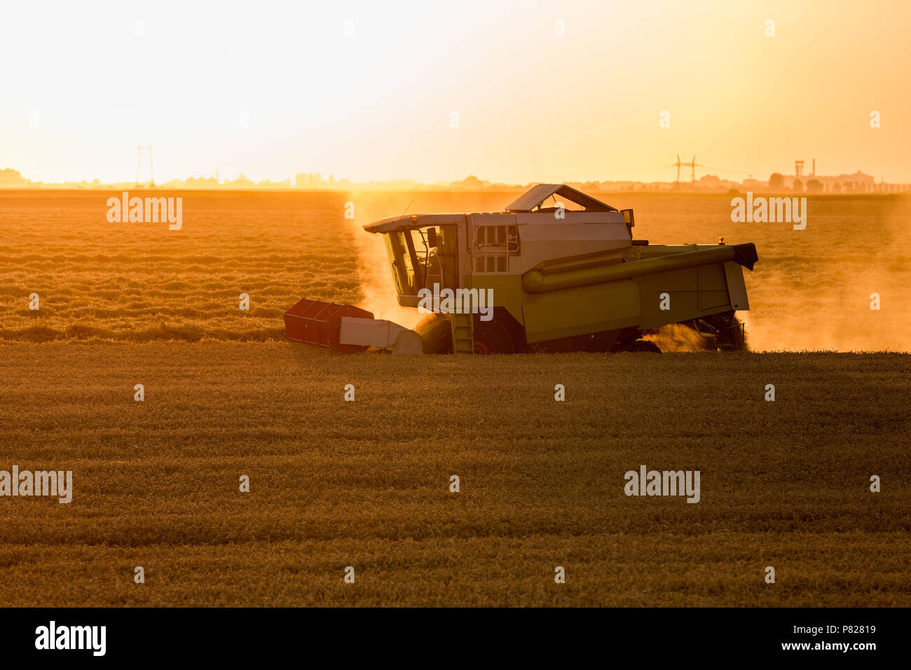 Moissonneuse batteuse en action sur le champ de blé Banque D'Images