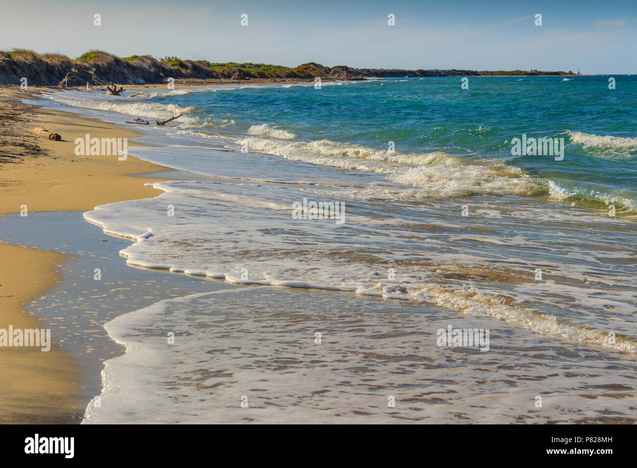 La réserve naturelle de Cesine ''le'' est une zone humide d'importance internationale : habitats distinctifs sont les dunes, les marais et le maquis des formations arbustives. Banque D'Images