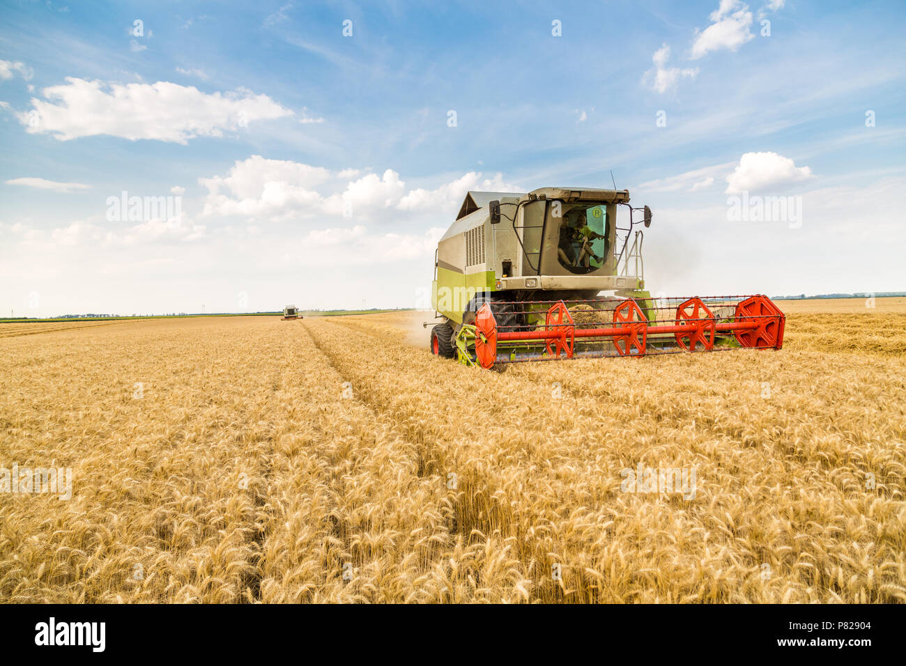 Moissonneuse batteuse en action sur le champ de blé Banque D'Images