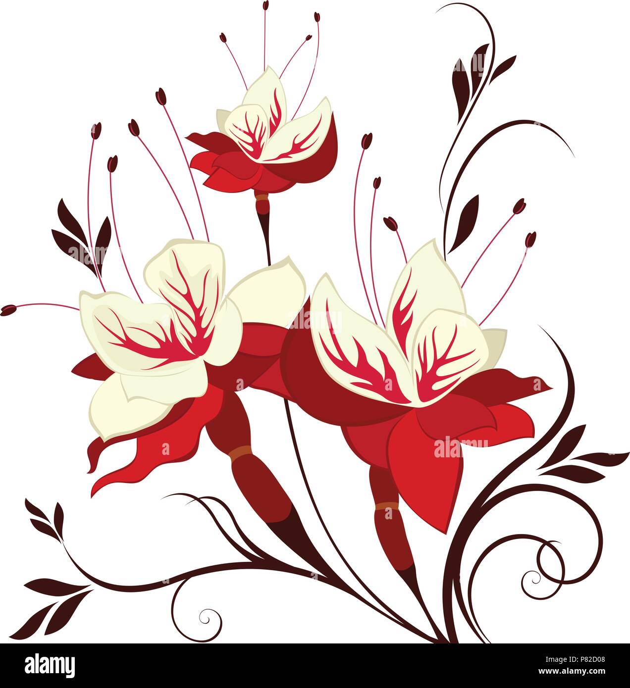 Fuchsia fleur sur fond blanc Illustration de Vecteur