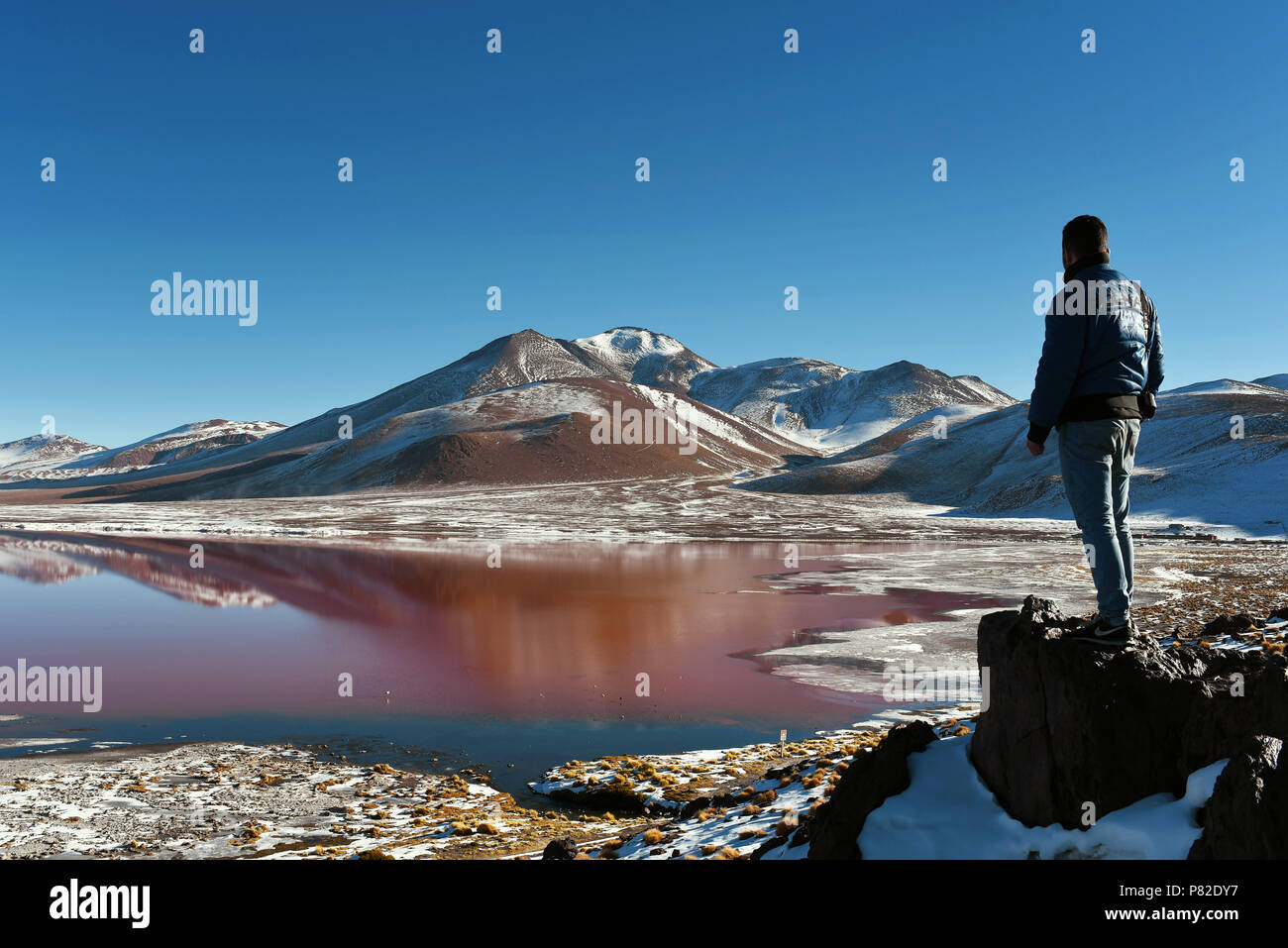 Homme surplombant la Laguna Colorada (lagune peu profonde rouge) salt lake en Bolivie, au sein de la faune andine Eduardo Avaroa réserve nationale. Banque D'Images