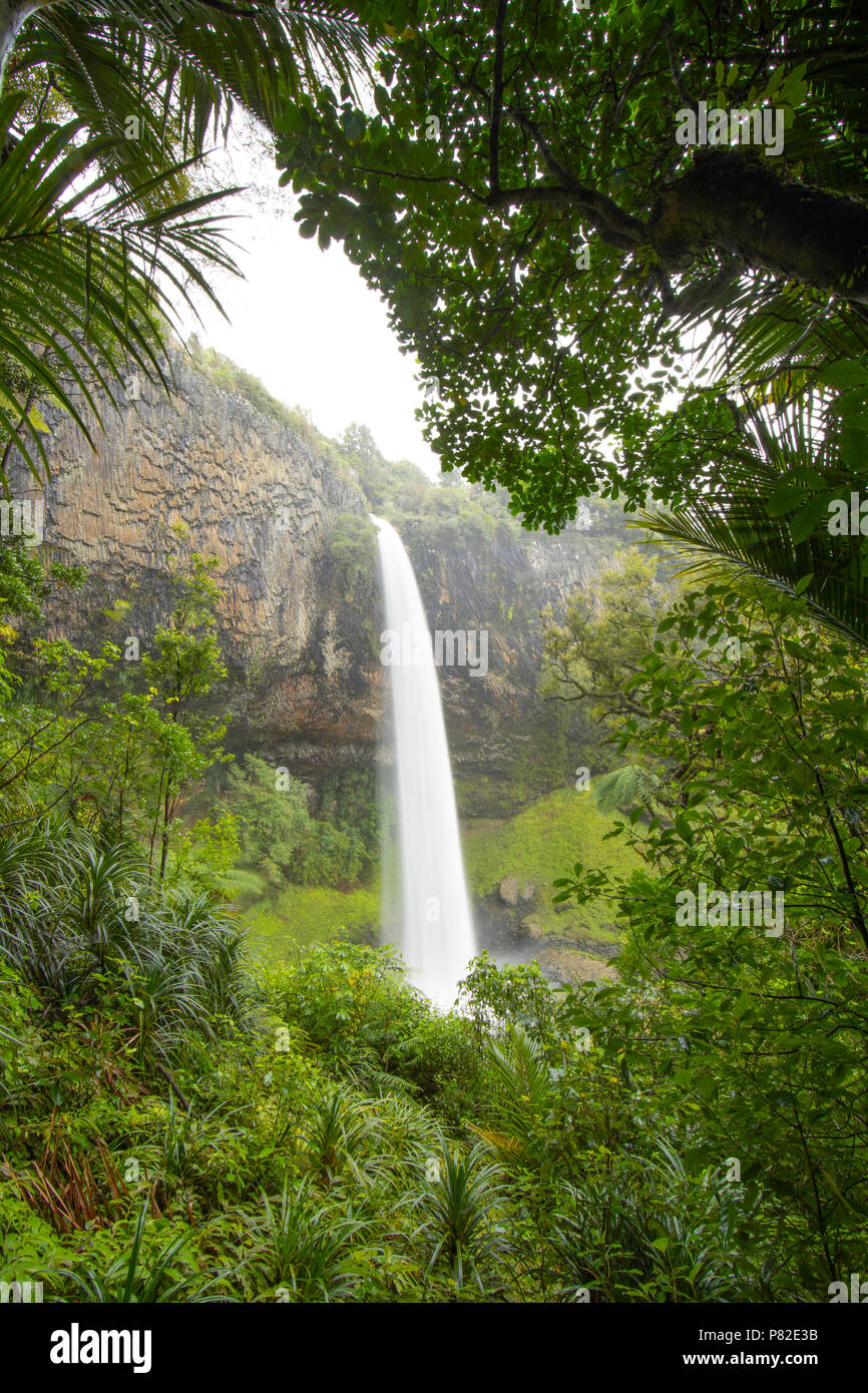 Bridal Veil Falls, Raglan, Nouvelle-Zélande Banque D'Images