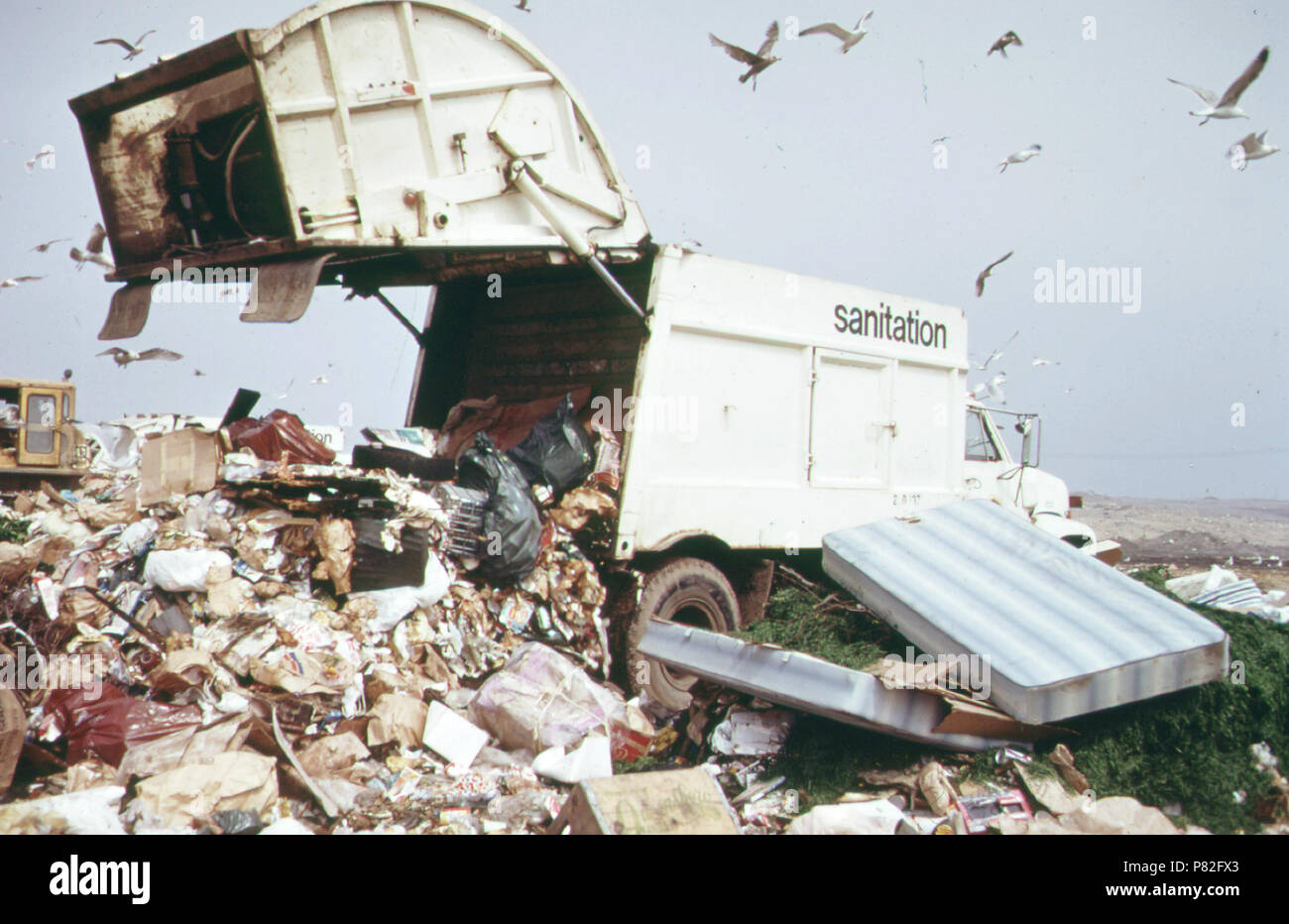 L'opération d'enfouissement est réalisée par la ville de New York sur le Marais de Jamaica Bay. Les dangers de la pollution et des dommages à l'environnement ont appelé à une forte opposition 05 1973 Banque D'Images
