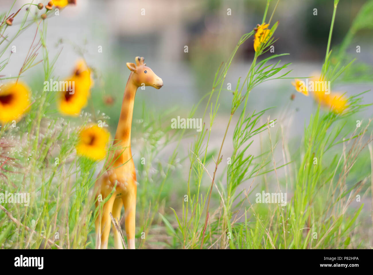 Figurine girafe miniature dans l'herbe et fleurs jaune comme un mini-safari. Banque D'Images