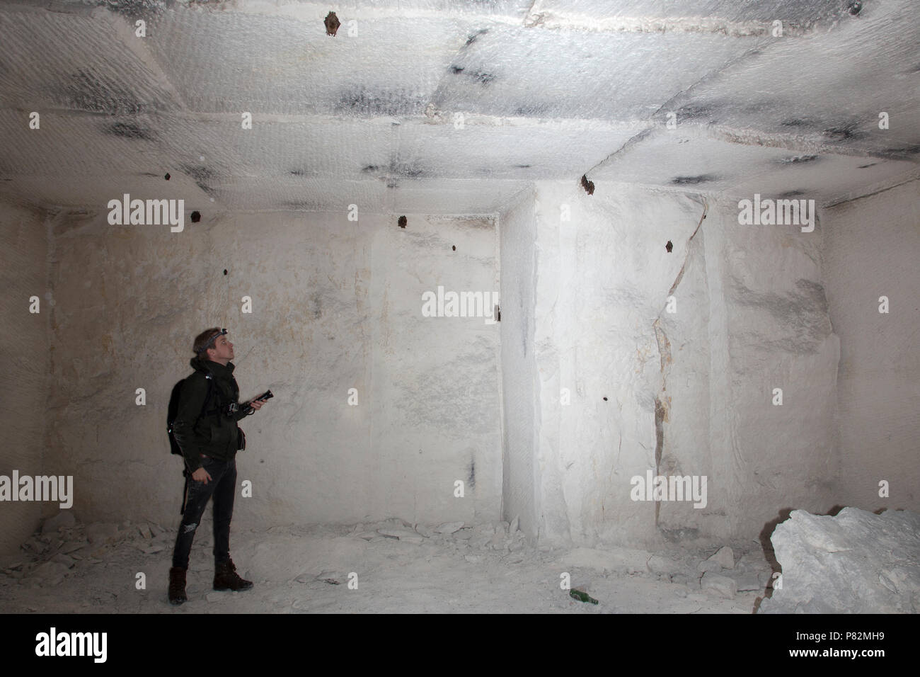 Dans Vleermuizenonderzoeker Batresearcher vleermuizen grot a rencontré, dans la batcave Banque D'Images