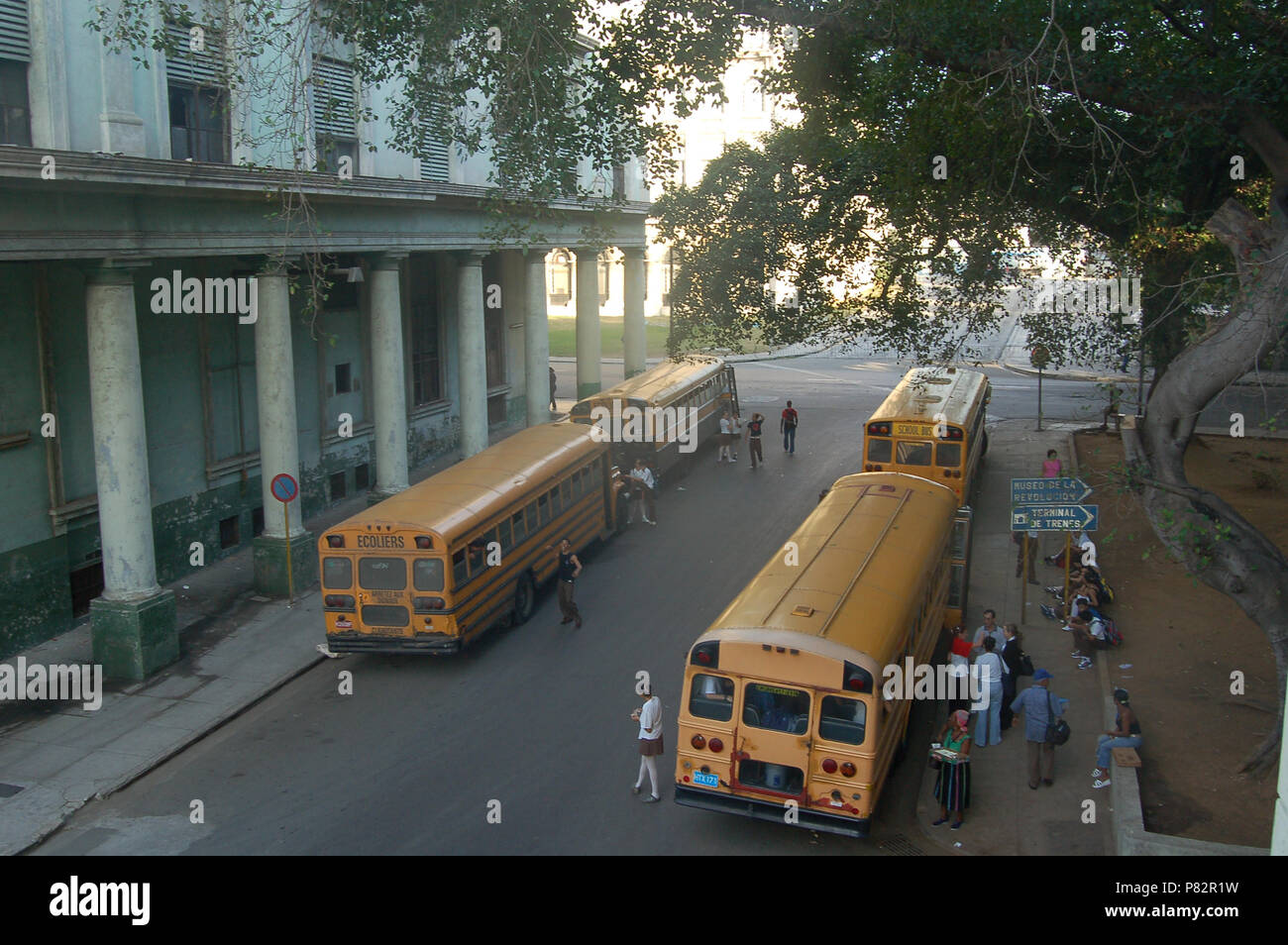 Image Animaux sauvages Banque D'Images