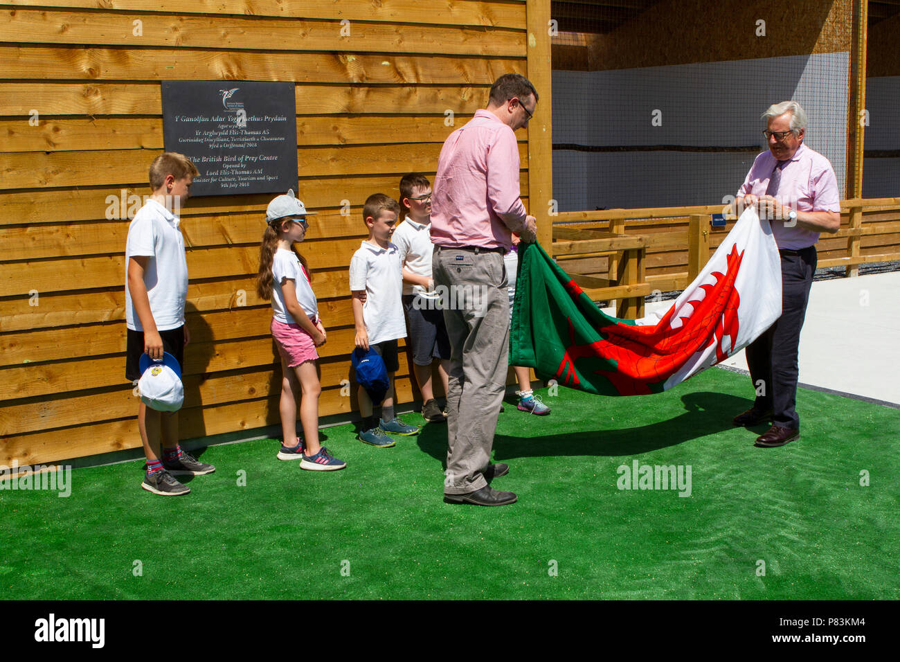 Lord Dafydd Elis-Thomas SUIS, Welsh Gouvernement Ministre de la Culture, Tourisme et Sport (à droite) et directeur du Jardin Botanique National du Pays de Galles, Huw Francis plier le drapeau gallois lors de l'ouverture officielle de la Bird of Prey Centre. Banque D'Images