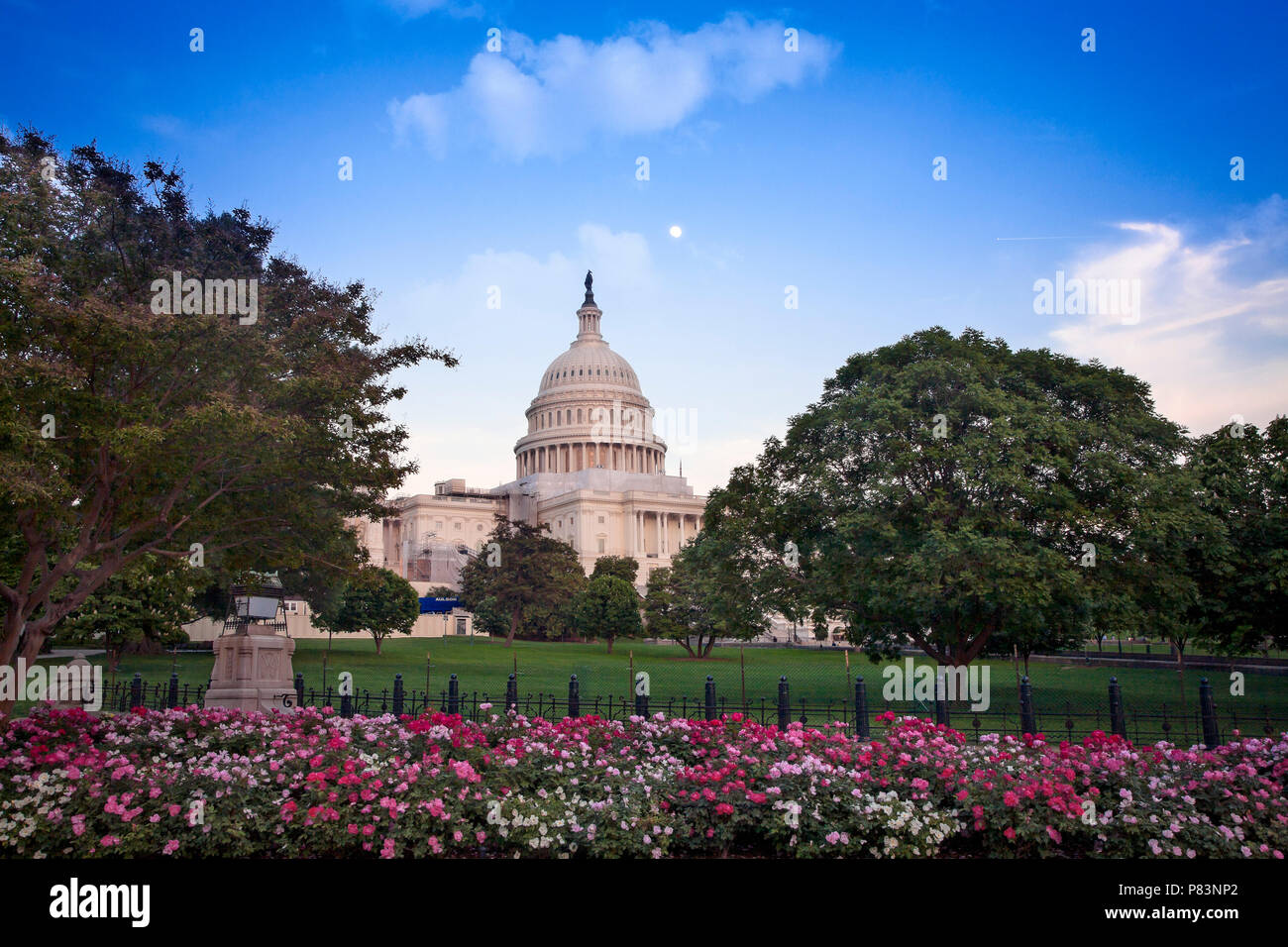 Le bâtiment du Capitole, qui abrite le Sénat et la Chambre des représentants des États-Unis sur le National Mall, Washington, DC. Banque D'Images
