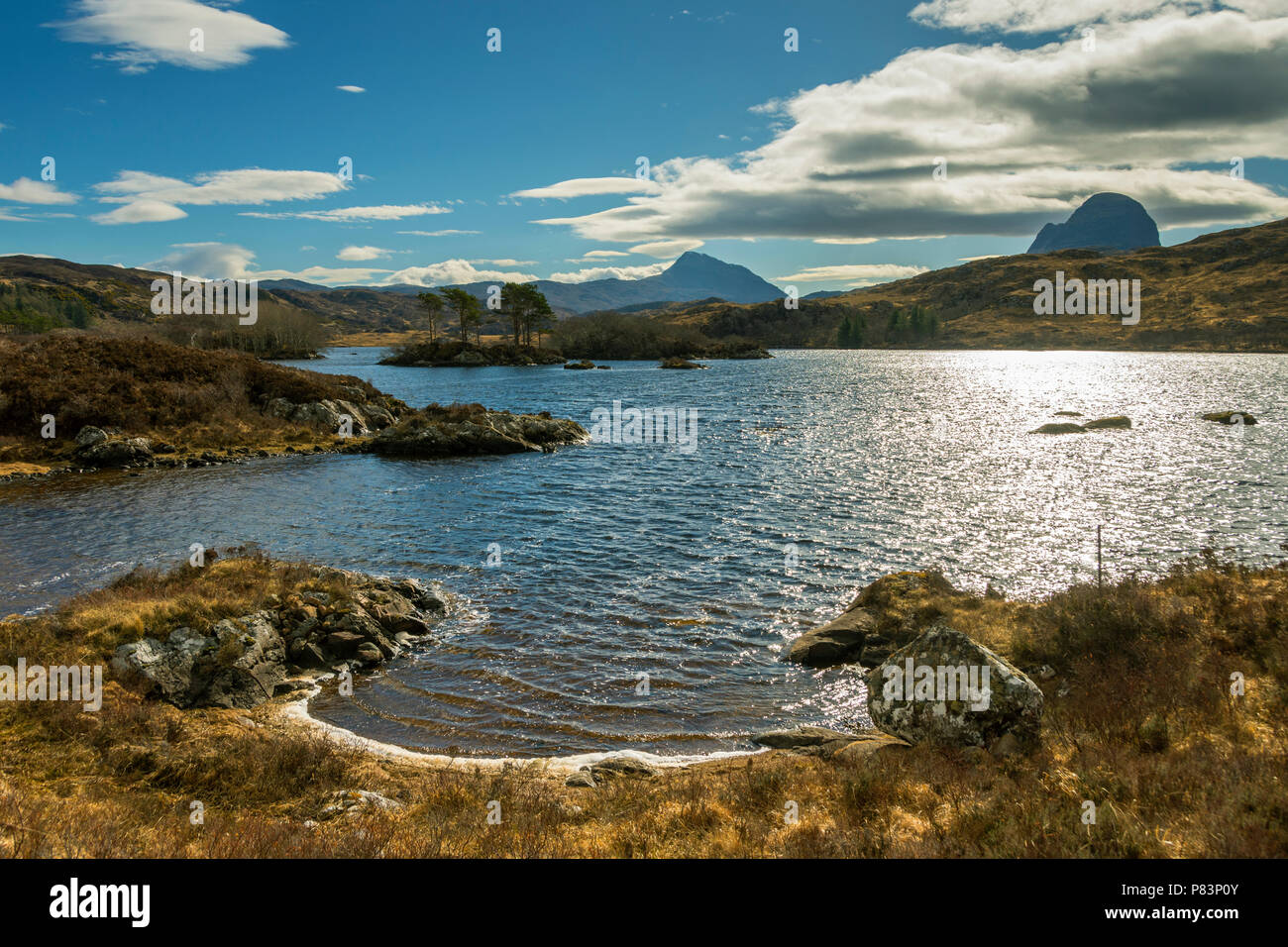 Canisp et Suilven du Loch Druim Suardalain Glen Canisp, Forêt, Près de Lochinver, Coigach, Sutherland, région des Highlands, Ecosse, Royaume-Uni Banque D'Images