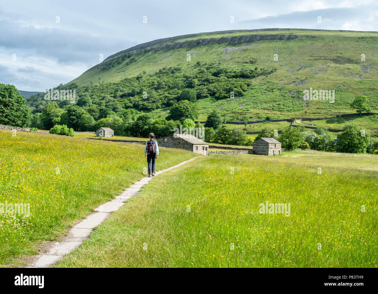 Marche à travers les prairies de fleurs sauvages et de terrain dans la région de granges près de Swaledale Muker dans le Yorkshire Dales UK Banque D'Images