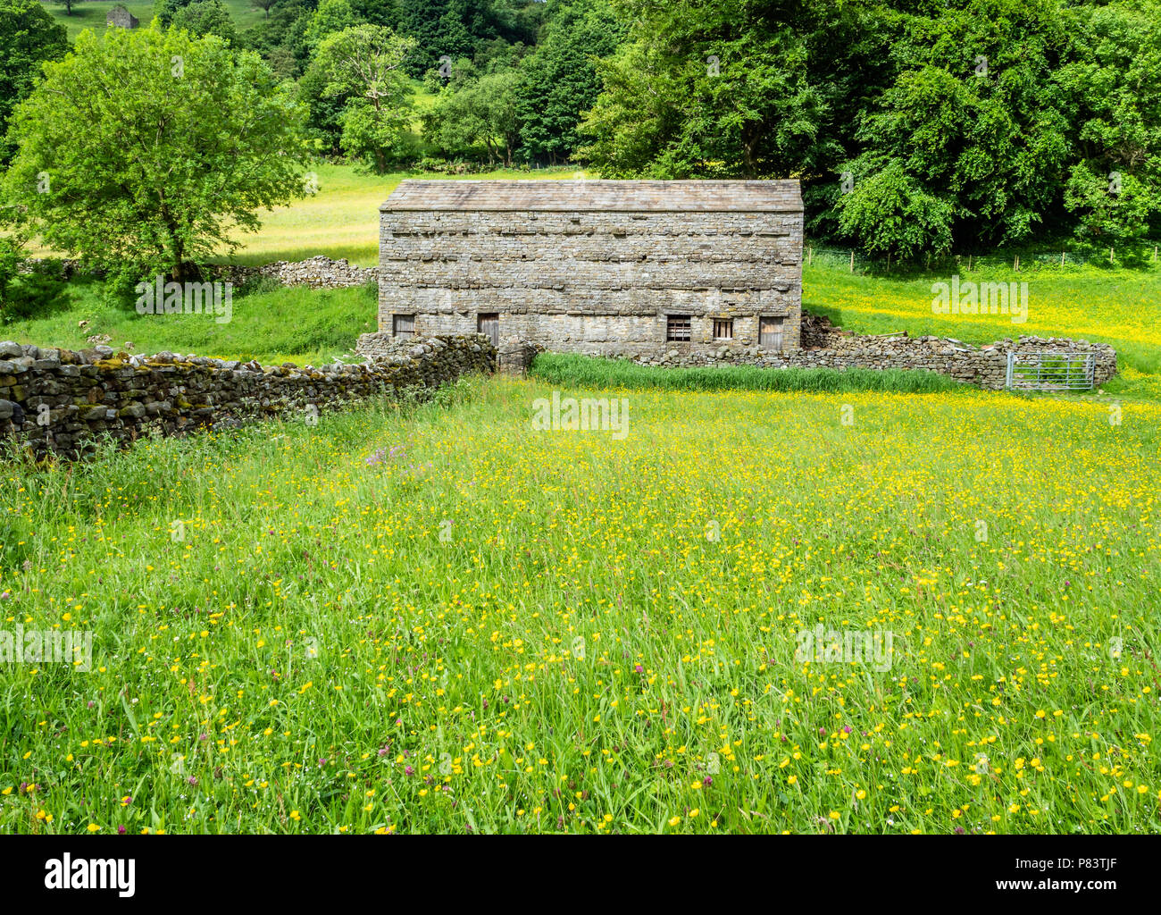 Prés fleuris et près de Grange sur le terrain dans la région de Muker Swaledale dans le Yorkshire Dales UK Banque D'Images